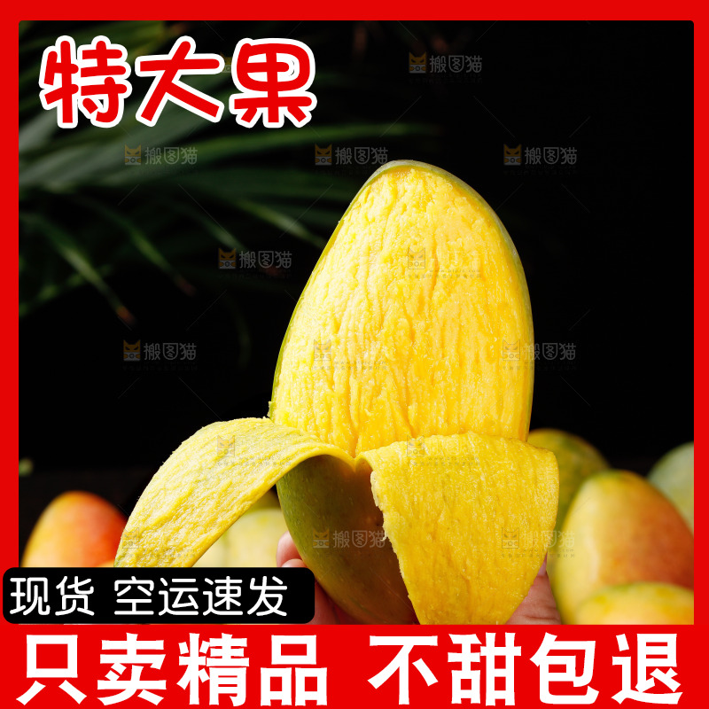 深底上的贵妃芒