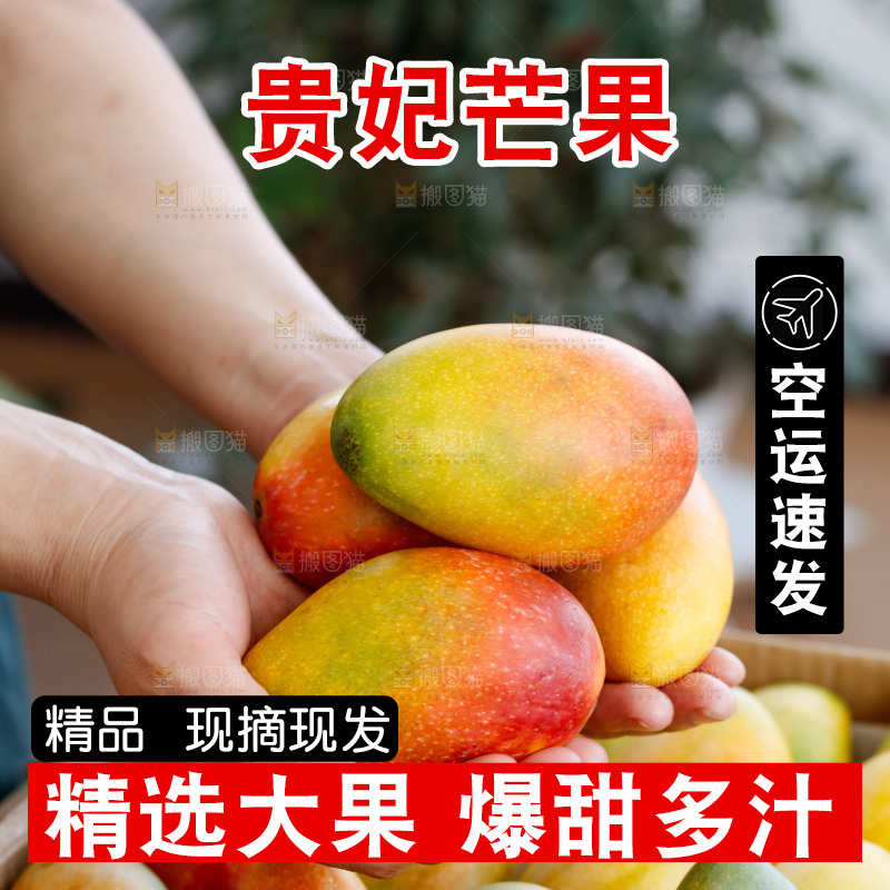 手里拿着贵妃芒
