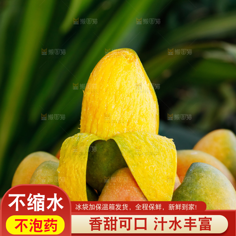 手里拿着贵妃芒