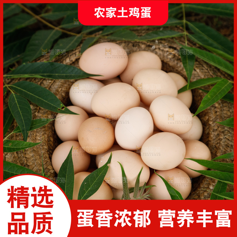 地上放着新鲜土鸡蛋