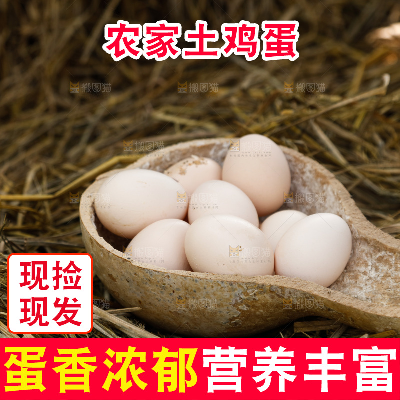 地上放着新鲜土鸡蛋