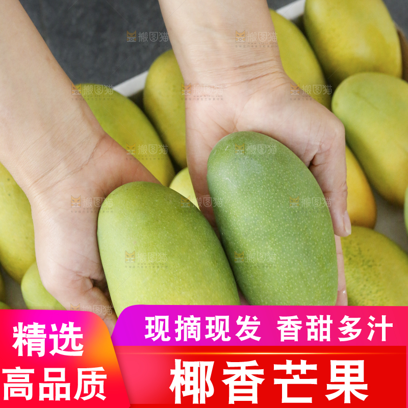 深底上的椰香芒
