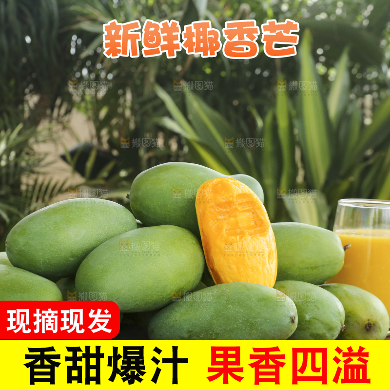 深底上的椰香芒