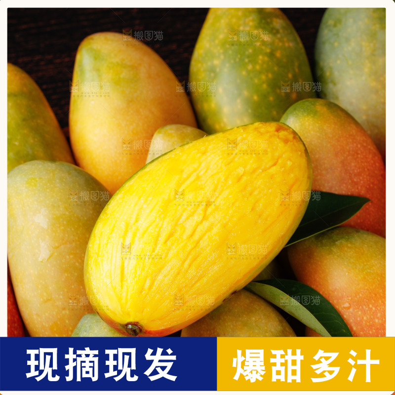 深底上的贵妃芒