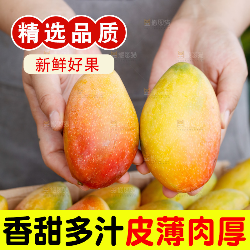 手里拿着贵妃芒