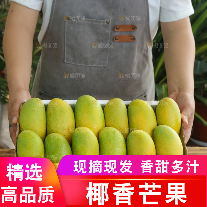 手里拿着椰香芒