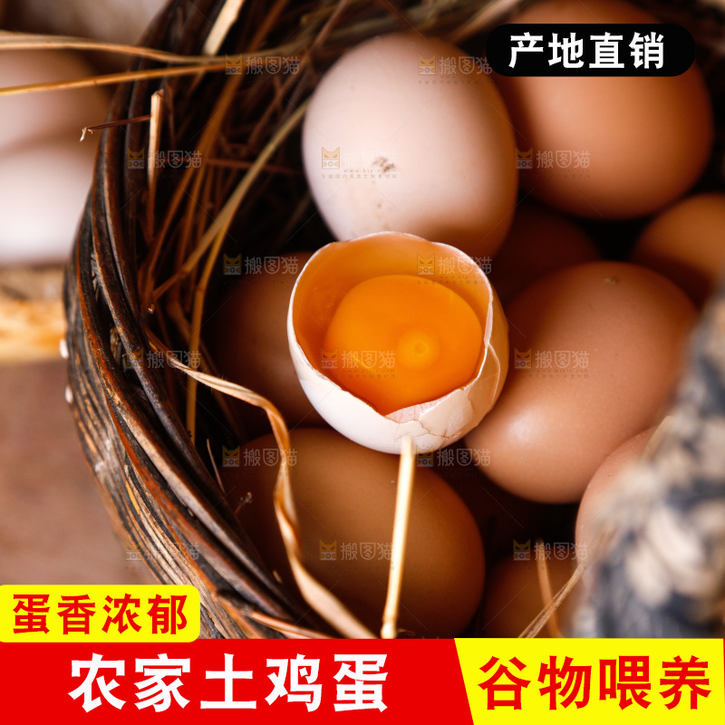 地上放着新鲜土鸡蛋