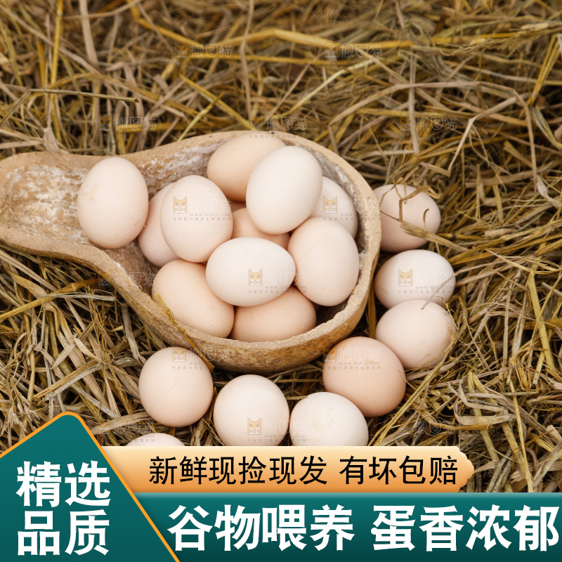 地上放着新鲜土鸡蛋