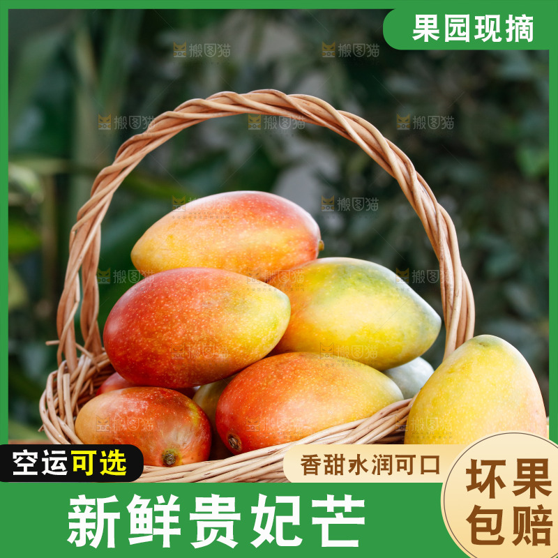 深底上的贵妃芒