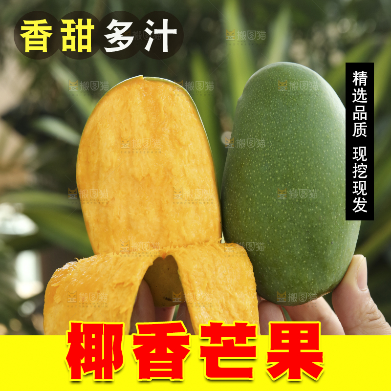 手里拿着椰香芒