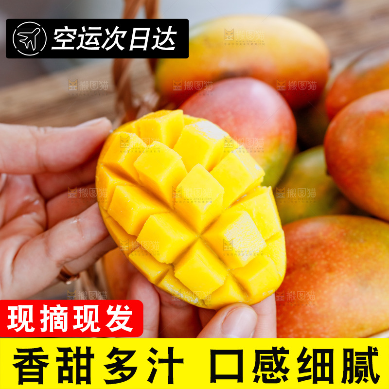 手里拿着贵妃芒