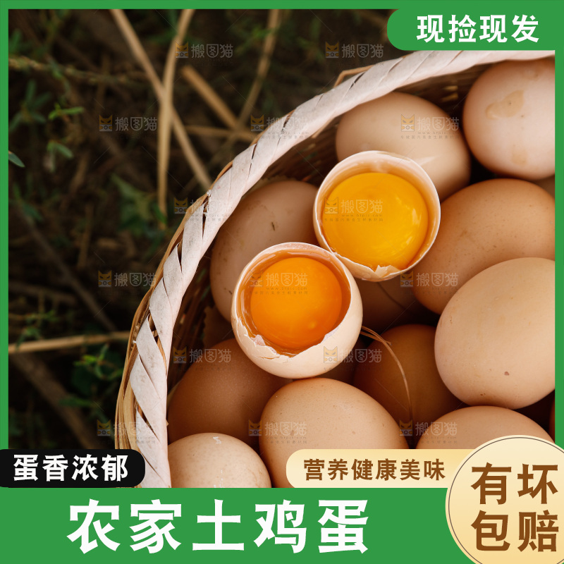 地上放着新鲜土鸡蛋