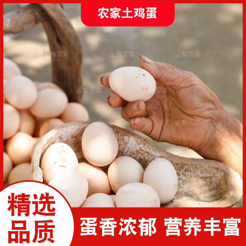 地上放着新鲜土鸡蛋