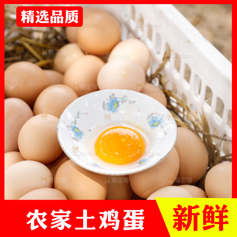 地上放着新鲜土鸡蛋