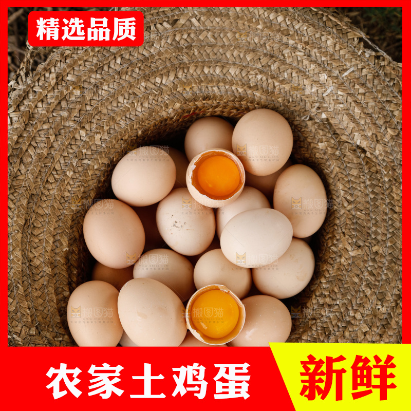 地上放着新鲜土鸡蛋