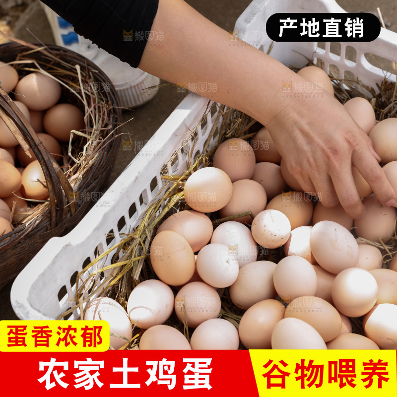 地上放着新鲜土鸡蛋