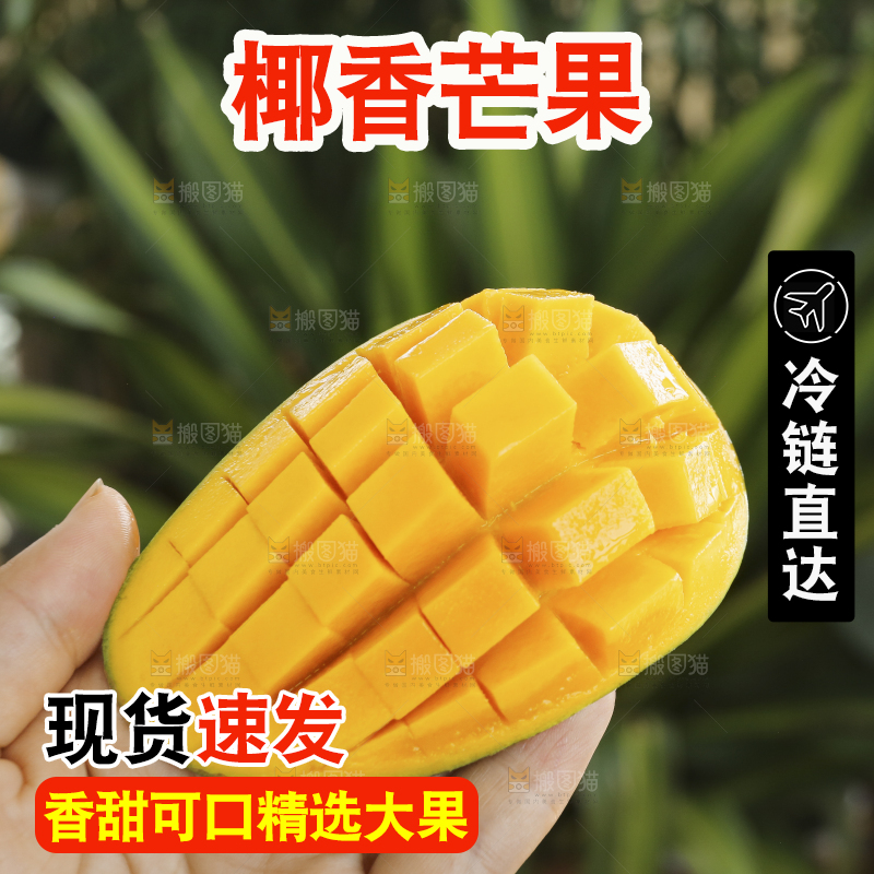 手里拿着椰香芒