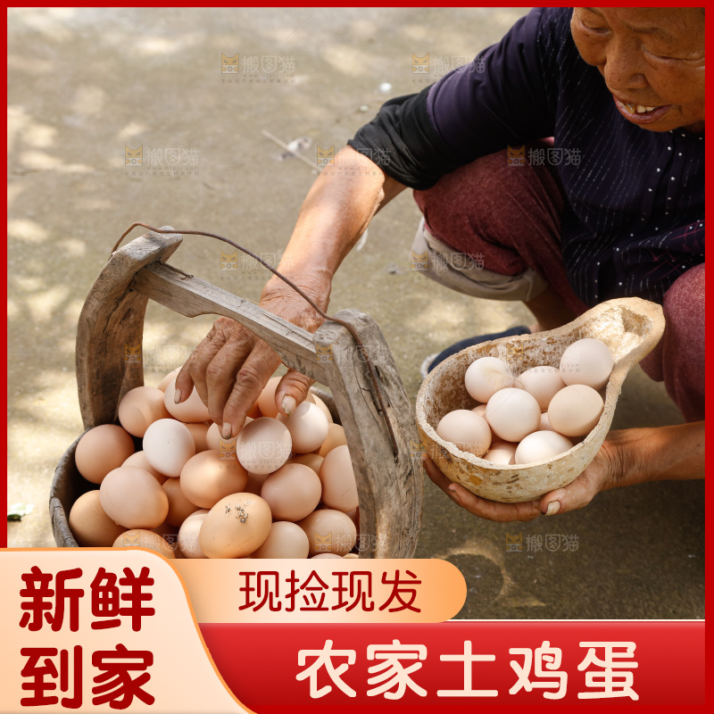 地上放着新鲜土鸡蛋
