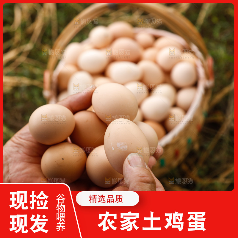 手里拿着土鸡蛋