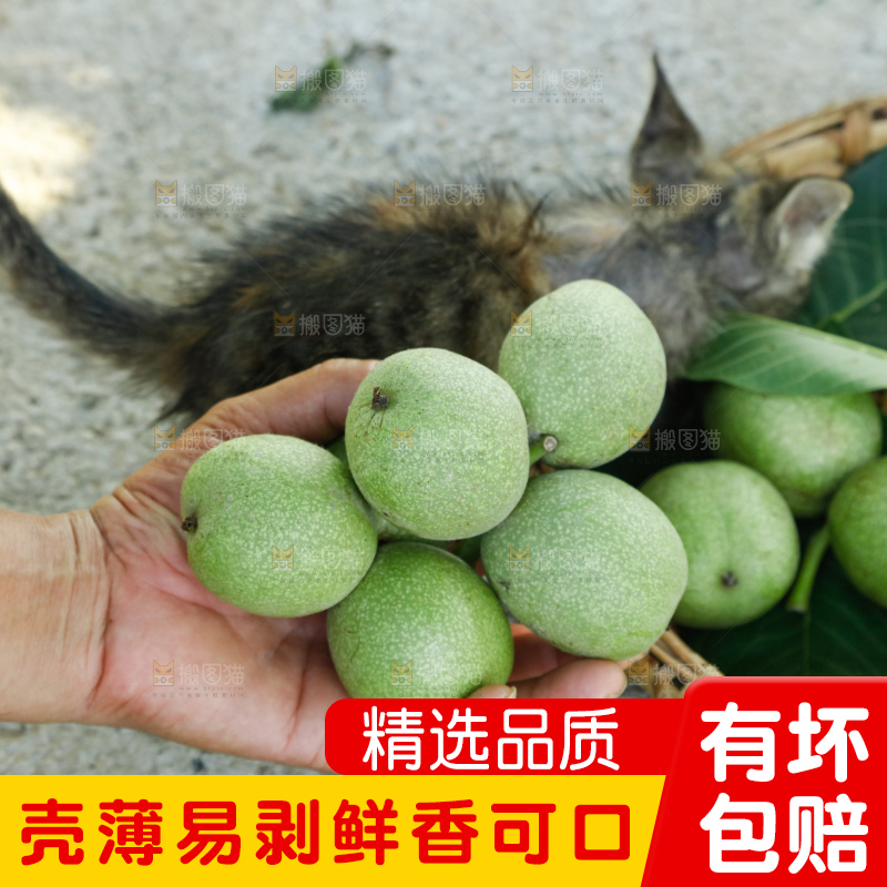 手里拿着青核桃