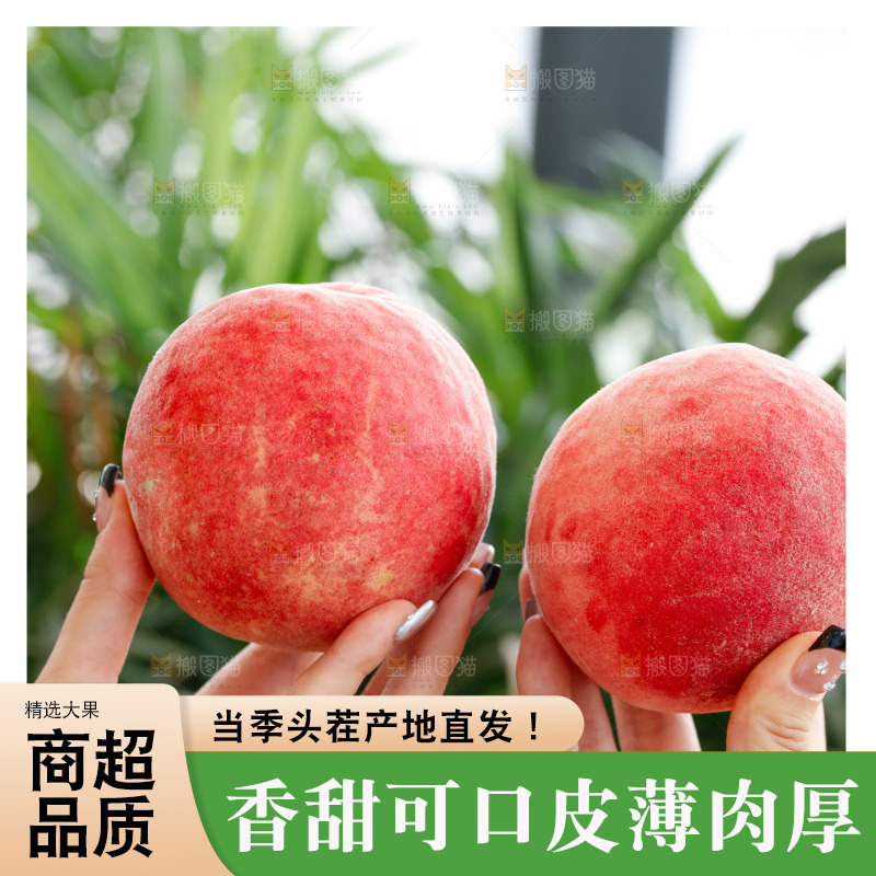 手里拿着苹果桃