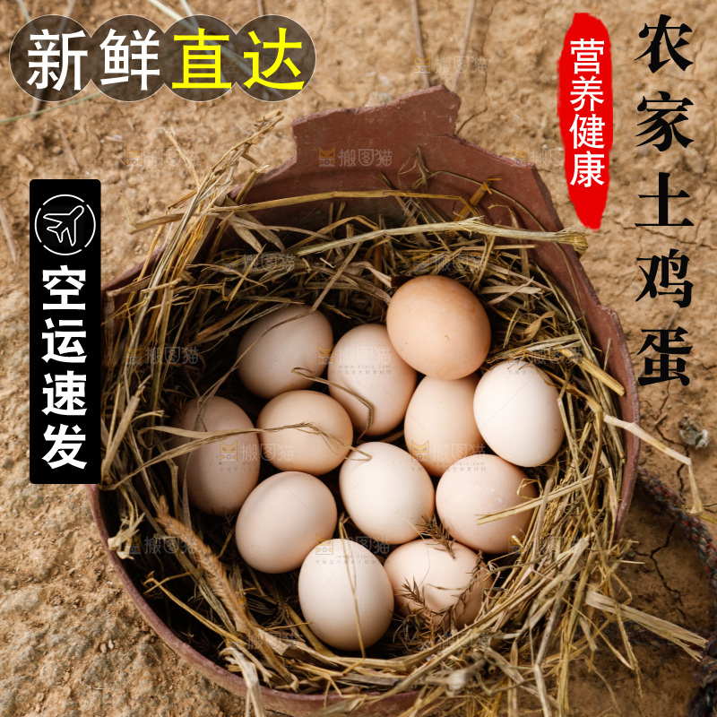 地上放着新鲜土鸡蛋