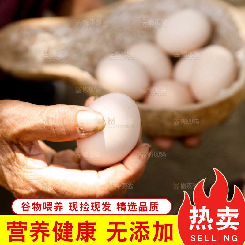 地上放着新鲜土鸡蛋