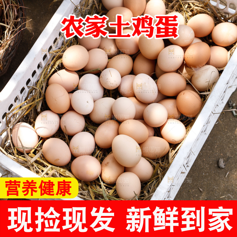 地上放着新鲜土鸡蛋