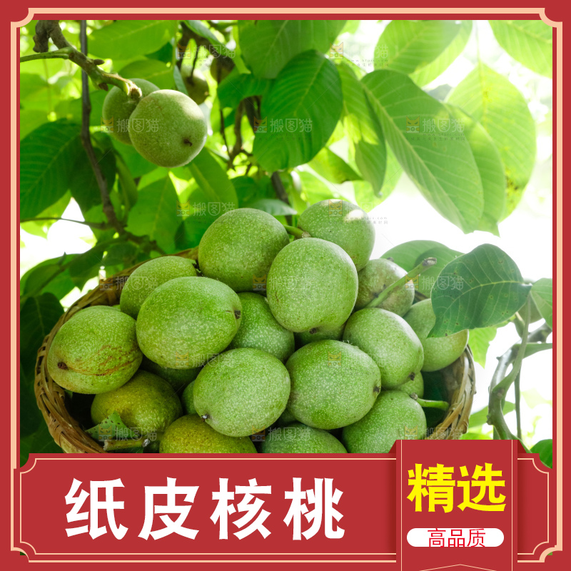 手里拿着青核桃