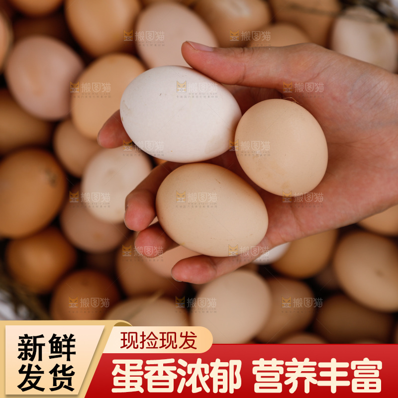 地上放着新鲜土鸡蛋
