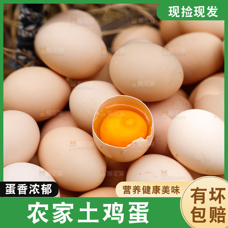 地上放着新鲜土鸡蛋