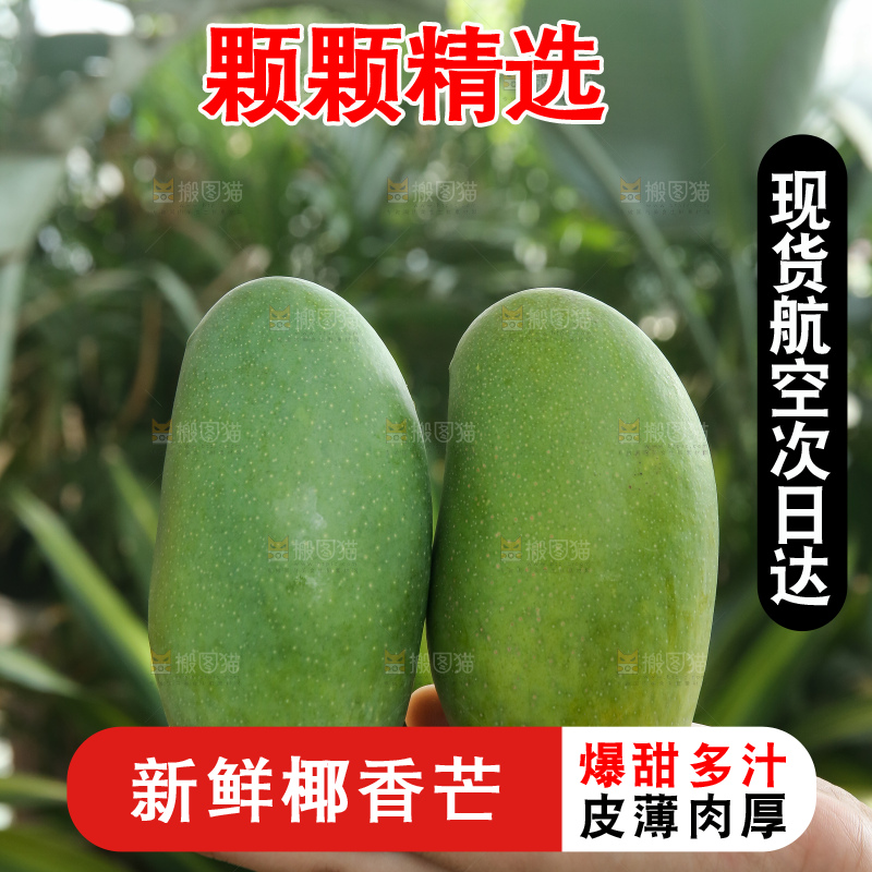 手里拿着椰香芒