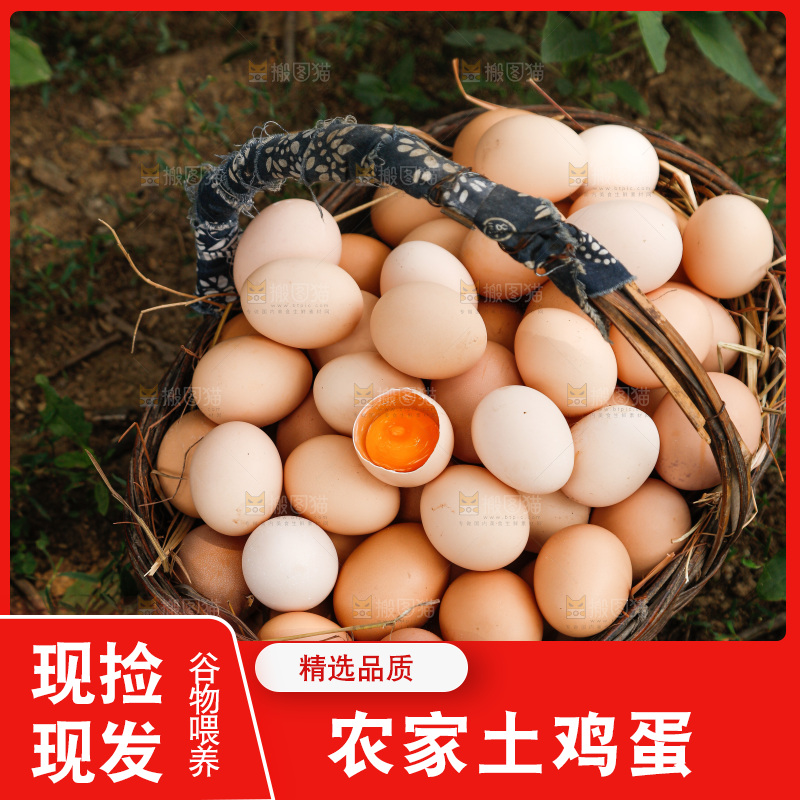 地上放着新鲜土鸡蛋