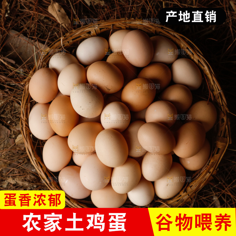 地上放着新鲜土鸡蛋