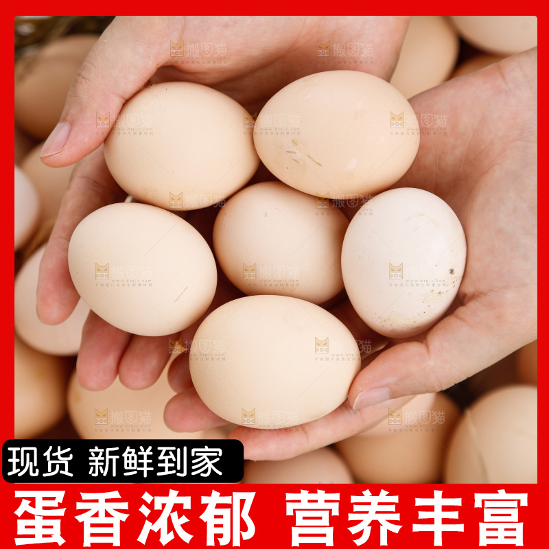地上放着新鲜土鸡蛋