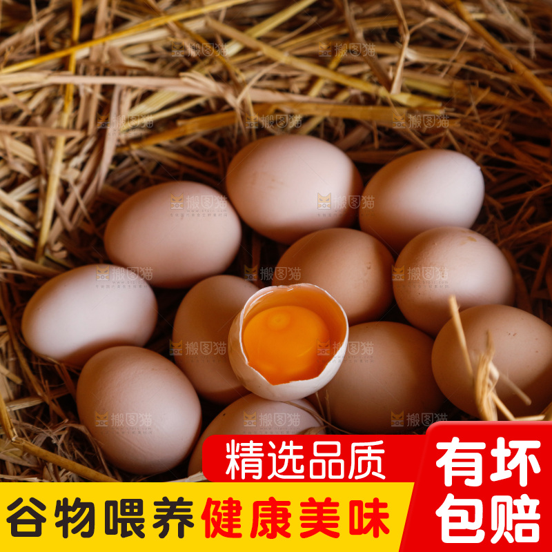 地上放着新鲜土鸡蛋