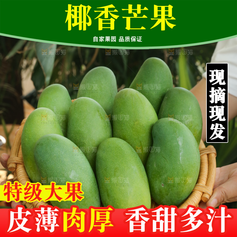 手里拿着椰香芒