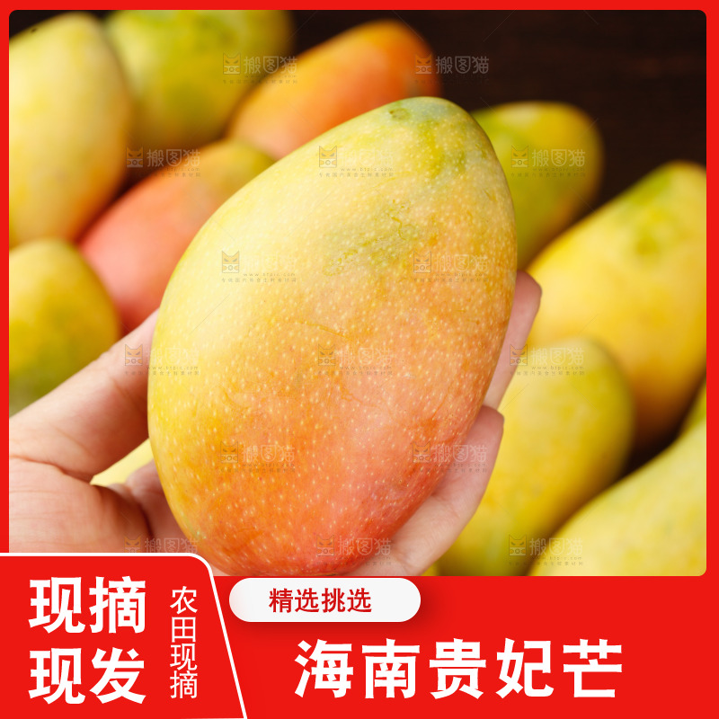 深底上的贵妃芒