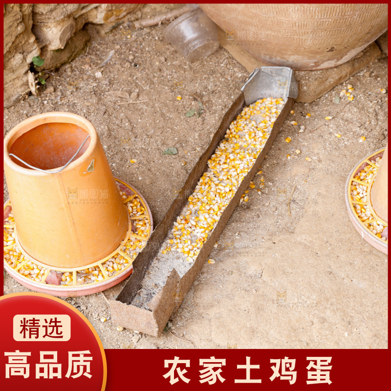 地上放着新鲜土鸡蛋