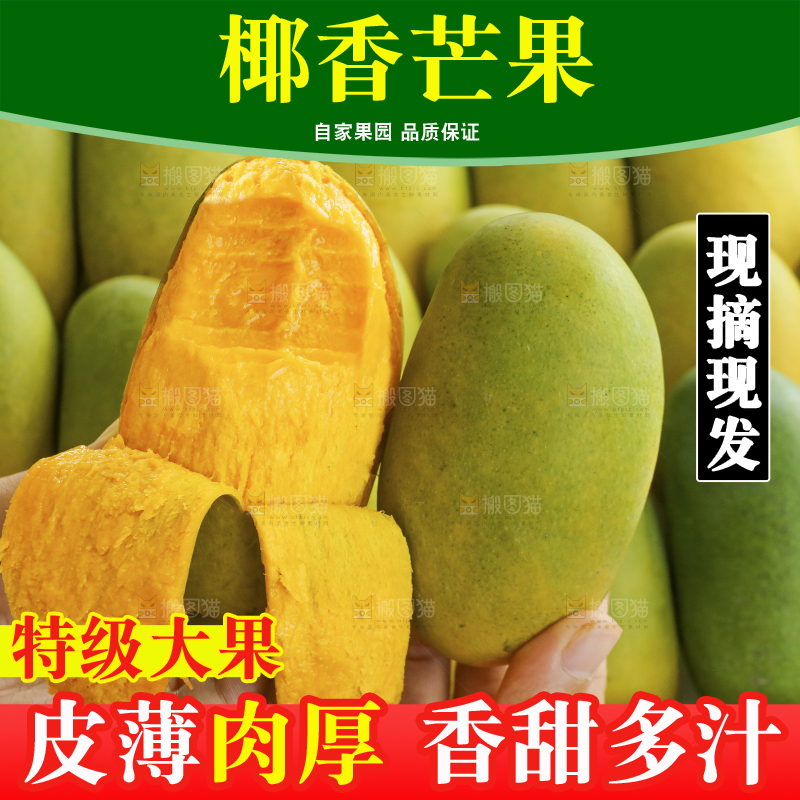 手里拿着椰香芒