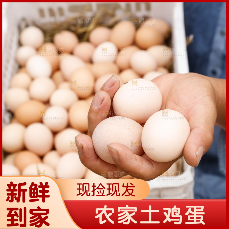 手里拿着土鸡蛋