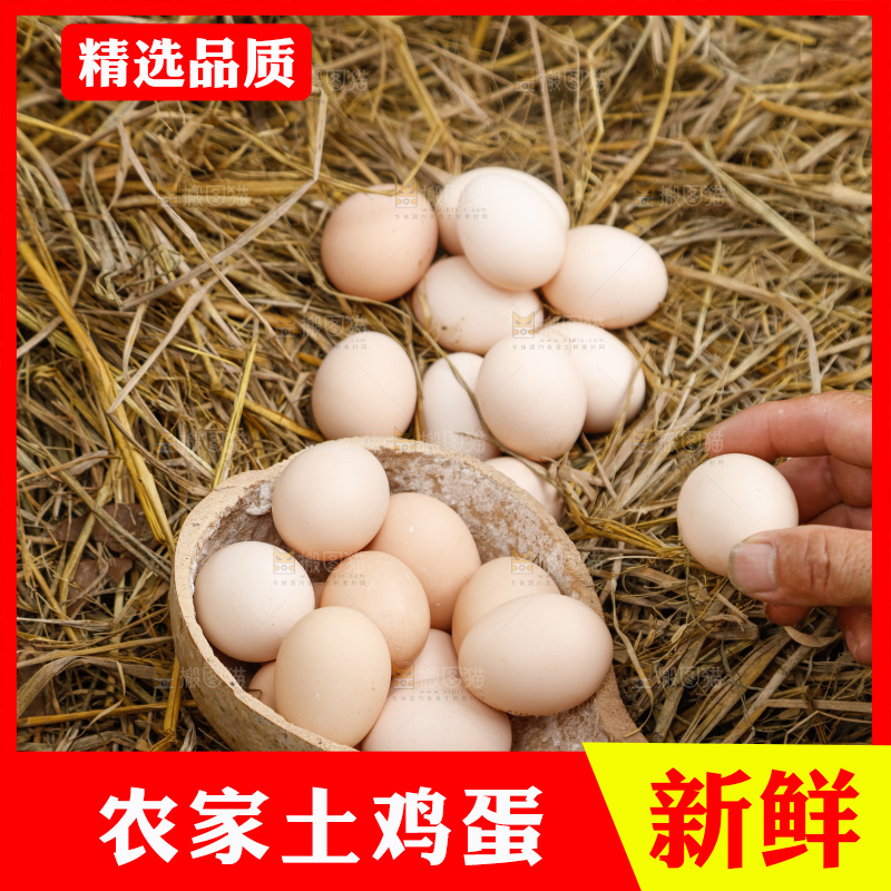 地上放着新鲜土鸡蛋