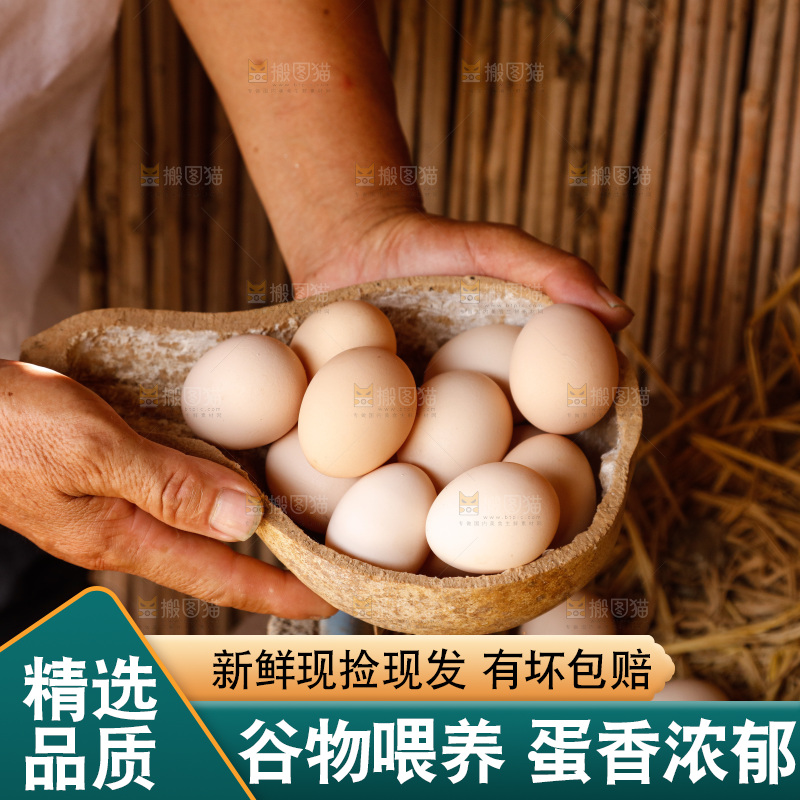 地上放着新鲜土鸡蛋