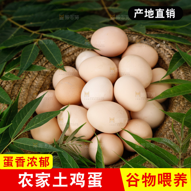 地上放着新鲜土鸡蛋
