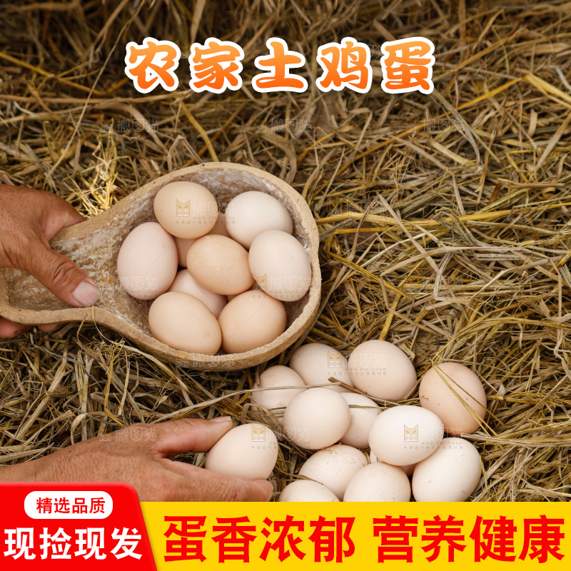 地上放着新鲜土鸡蛋