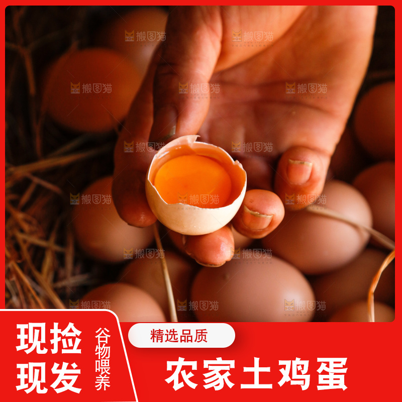 地上放着新鲜土鸡蛋