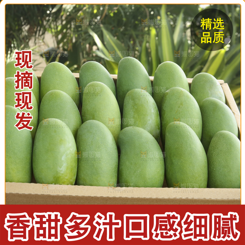 深底上的椰香芒