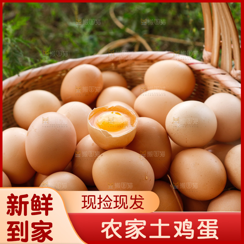 地上放着新鲜土鸡蛋