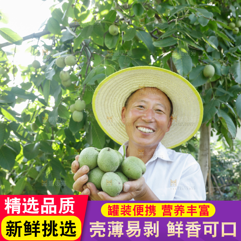 手里拿着青核桃