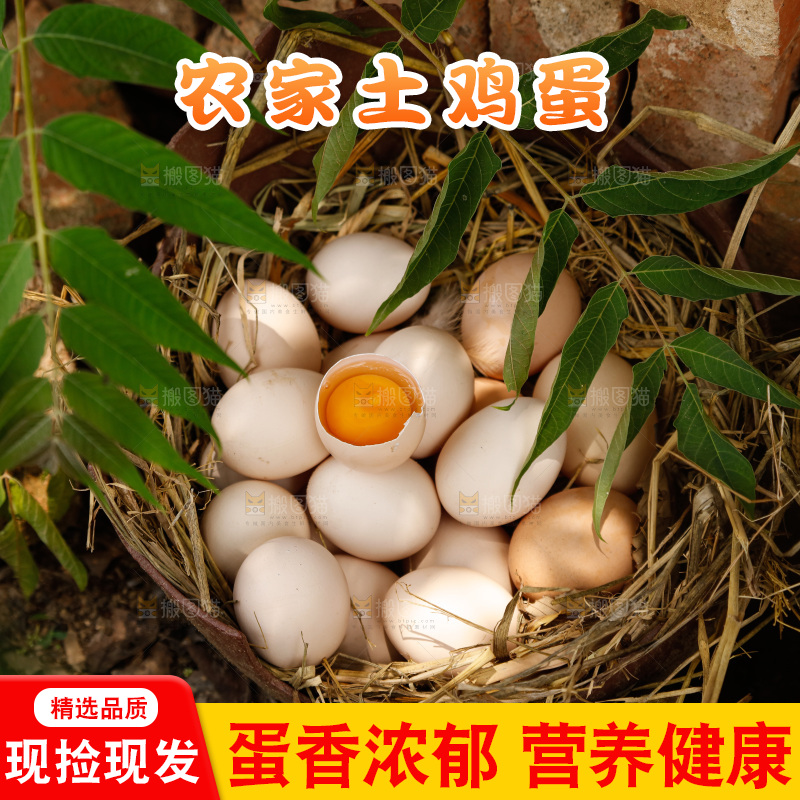 地上放着新鲜土鸡蛋